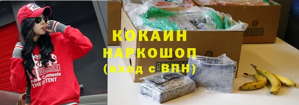 дживик Арсеньев