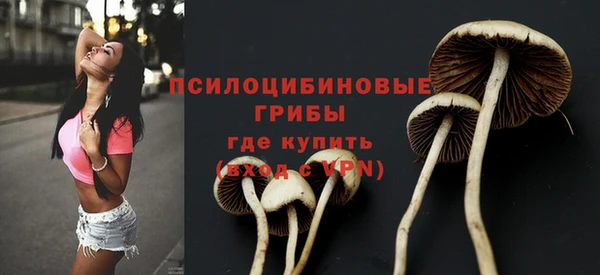 дживик Арсеньев