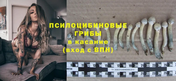 дживик Арсеньев