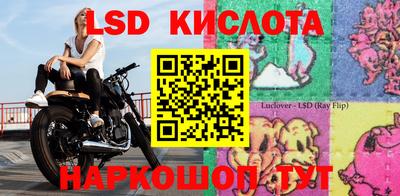 шишки Апшеронск