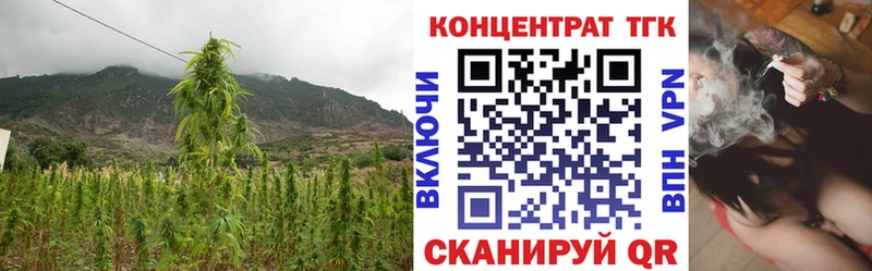 ТГК концентрат  как найти наркотики  Асино 