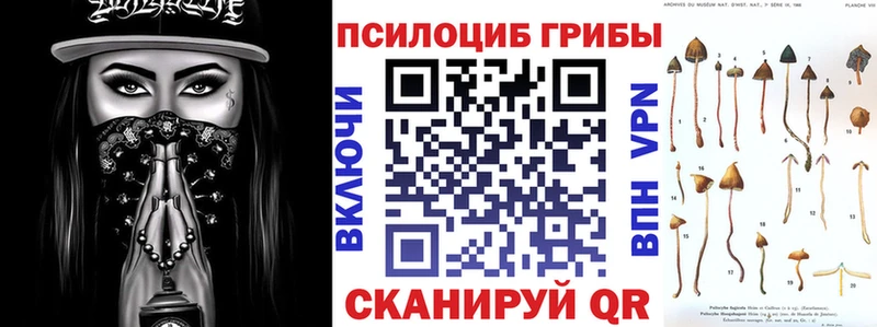 как найти наркотики  Асино  mega зеркало  Галлюциногенные грибы ЛСД 