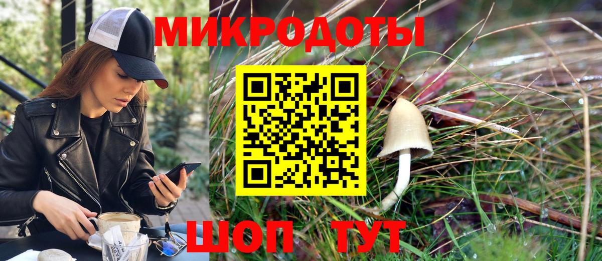 Псилоцибиновые грибы Psilocybe Асино