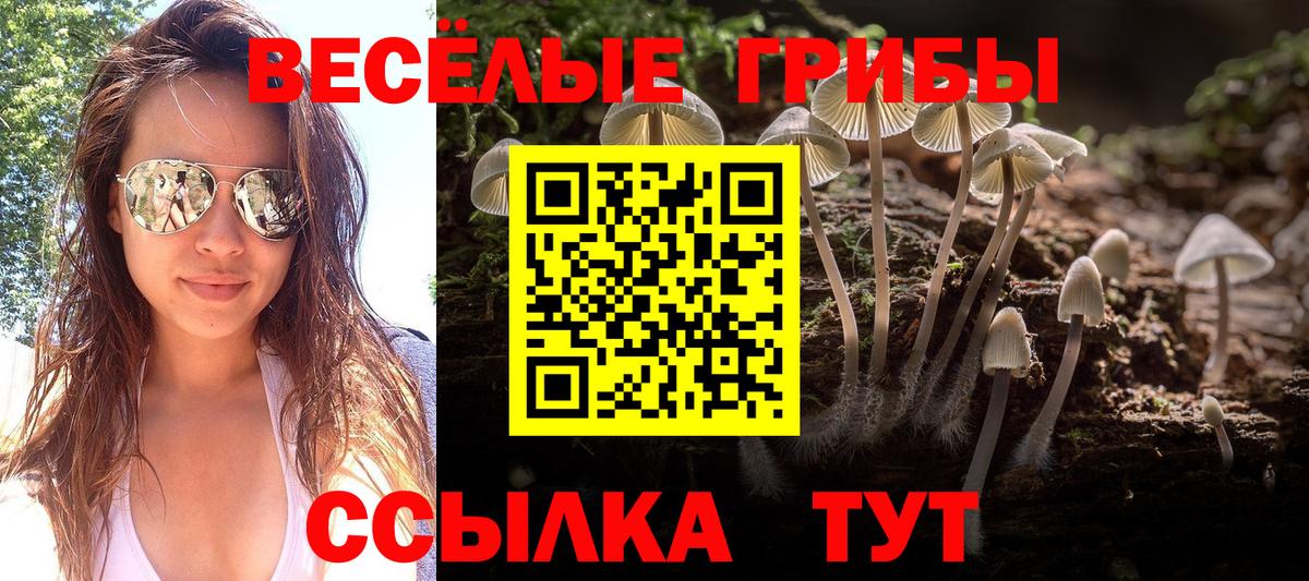 Псилоцибиновые грибы мицелий  Асино  Галлюциногенные грибы Psilocybine cubensis 