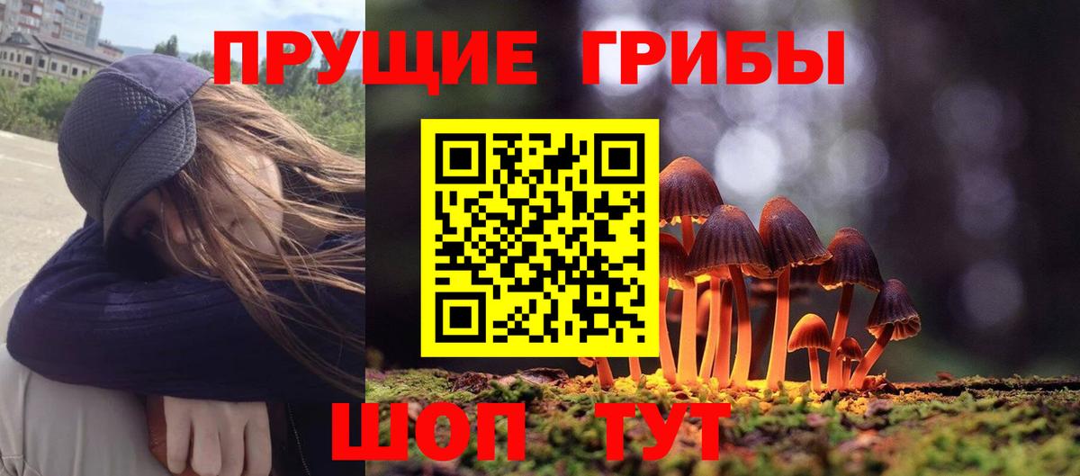 Асино  Псилоцибиновые грибы Psilocybine cubensis  Вход с VPN  Галлюциногенные грибы мицелий 